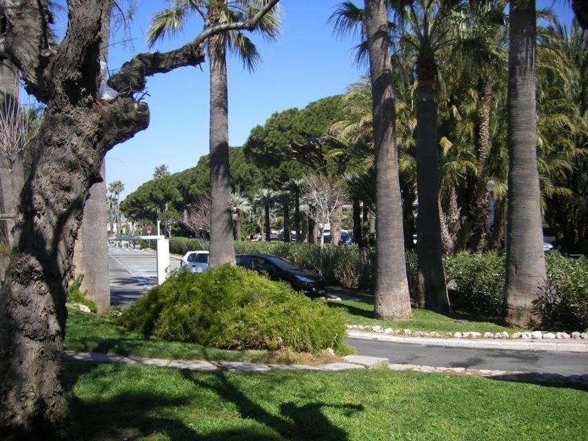 Karolina Properties - Appartement Commodore Croisette Cannes Eksteriør bilde